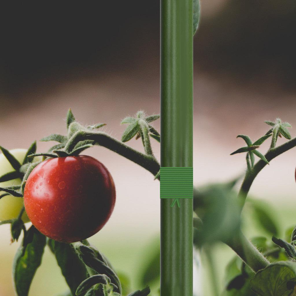 Ac Infinity Green Twist Tie W/ Built-In Cutter, 100 M