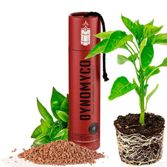 Dynomyco Premium Mycorrhizal Inoculant 200 G 7 Oz