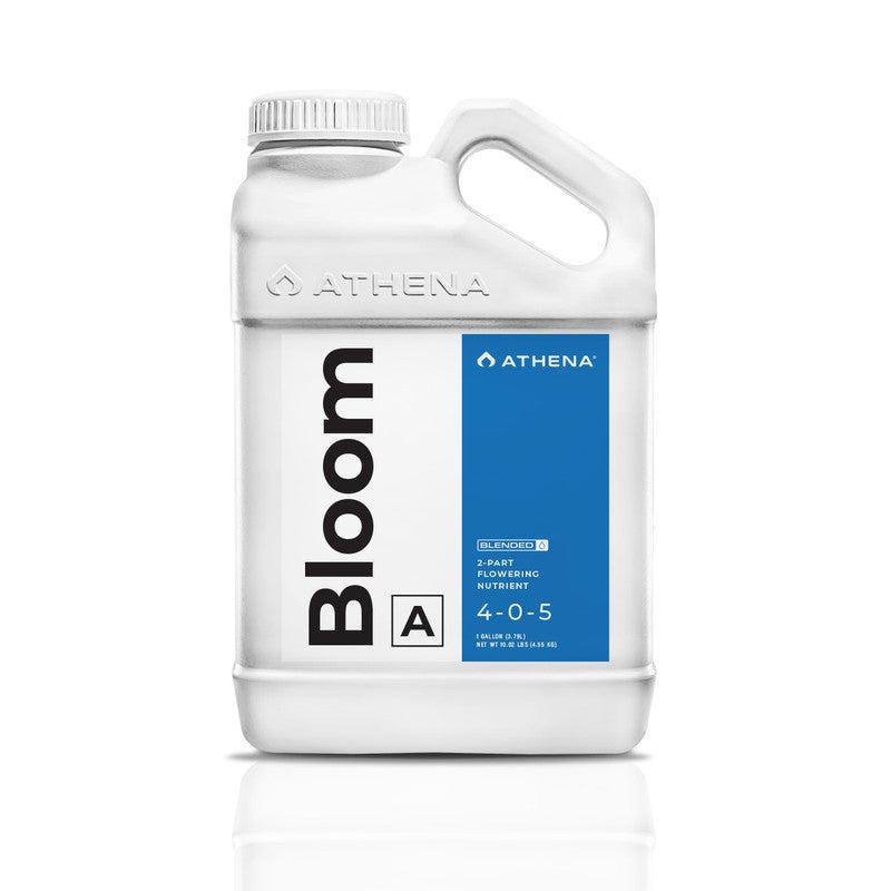 Athena Bloom A Blended Line 1 Gal