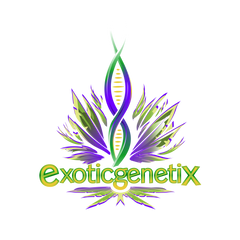 Exotic Genetix - Ben & Gary’s