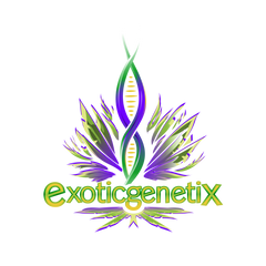 Exotic Genetix - Strawneapple