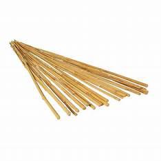 Grow!T Natural Bamboo Stakes - 2' Or 4' (25 Pack)