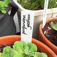 Grower's Edge 4" Plant Stake Labels White (25 Pack)