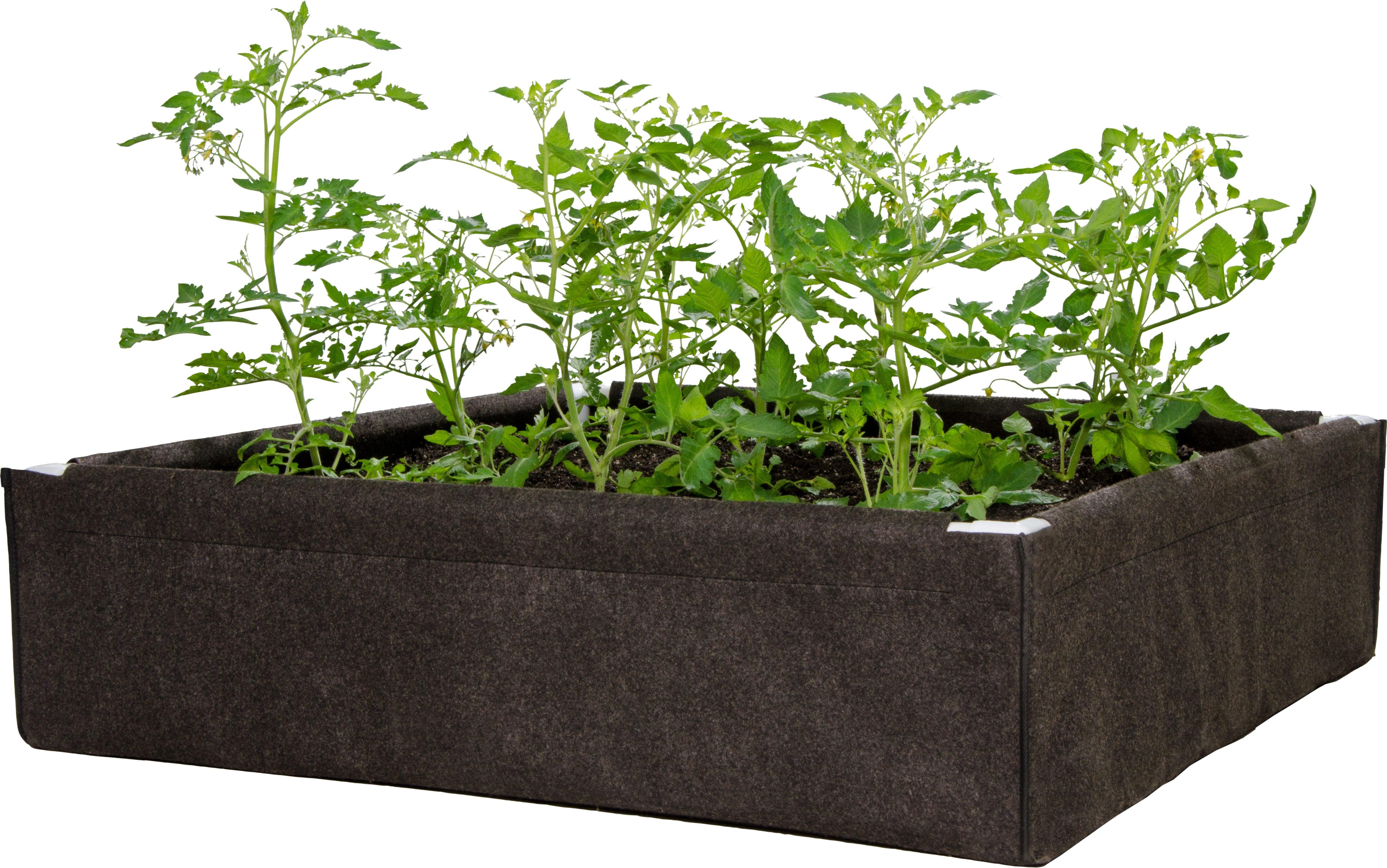 Dirt Pot Box - 2' x 4' Raised Bed